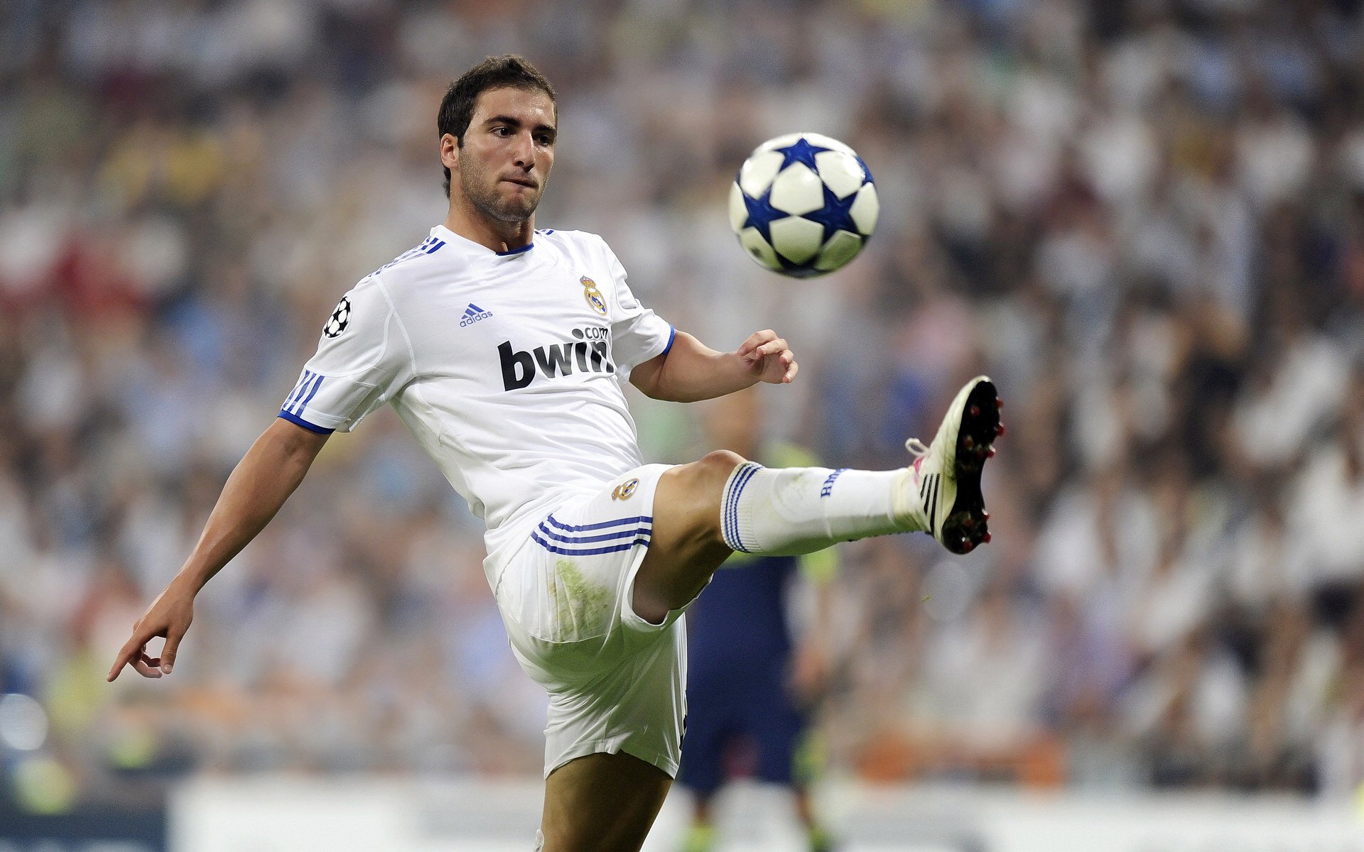 詹姆斯新星刷新纪录表现突出，老鹰前途光明！引发球迷热议